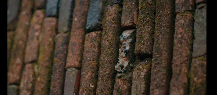 /uploads/image/2024/07/10/march-newsletter_12.jpg march-newsletter_12.jpg