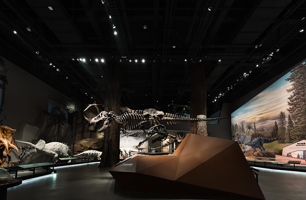 The dinosaur skeleton is the main display object. As a large three-dimensional exhibit, it requires lighting design from multiple directions and angles. The lighting layout is mainly divided into top projection light and bottom fill light. Track spotlights are mainly used for top lighting. Ultra-narrow beams with 5° light distribution are used to highlight several key parts of the frame with high brightness, and medium-beam spotlights are used for overall lighting. An embedded adjustable downlight is installed on the bottom booth, using a wider light distribution to illuminate the bottom surface of the frame and eliminate shadows caused by top light. Dinosaur Hall